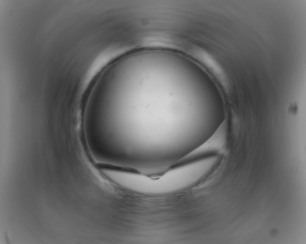 X0000092021376200709201543