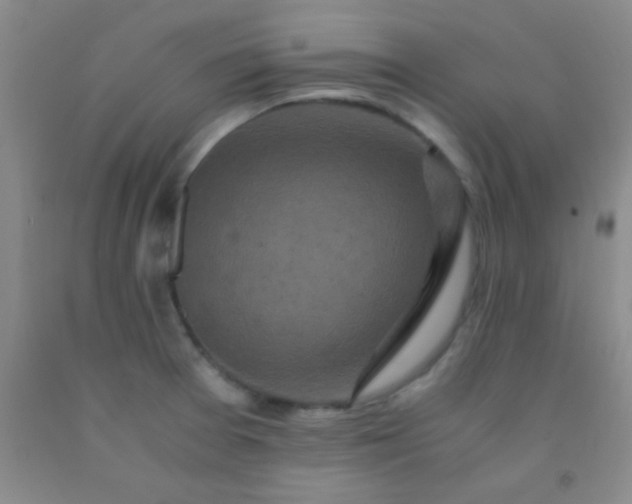 X0000092021377200709201543