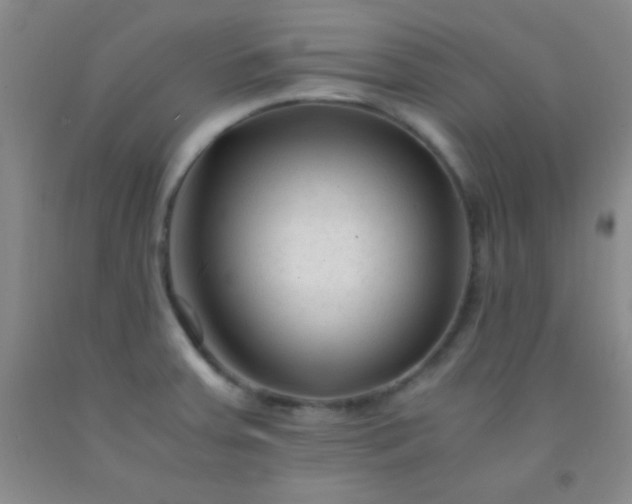 X0000092021379200709201543