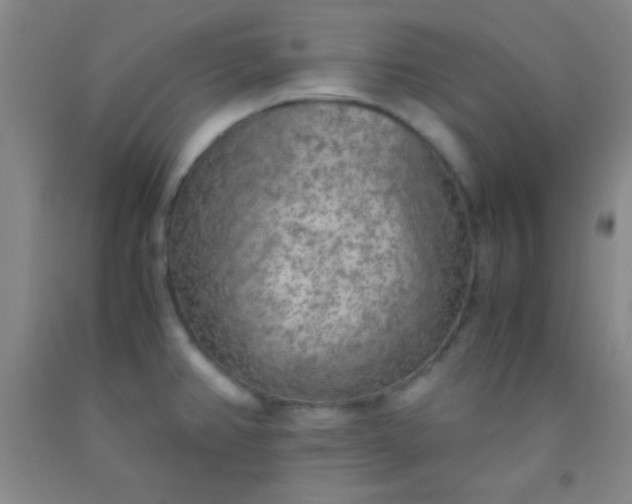 X0000092021382200709201543