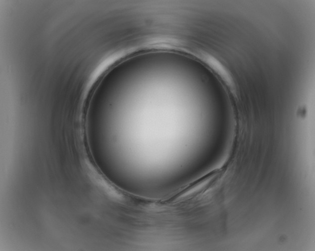 X0000092021384200709201543