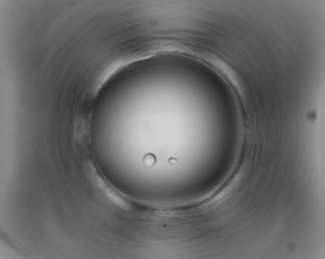 X0000092021385200709201543