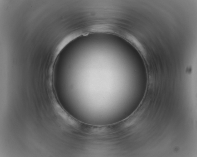 X0000092021386200709201543