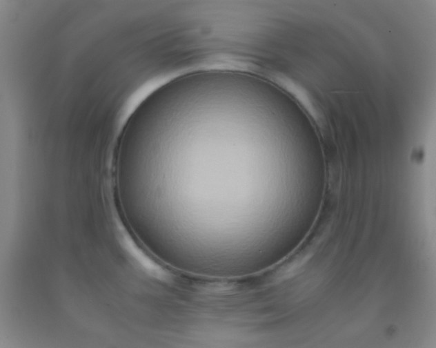 X0000092021387200709201543