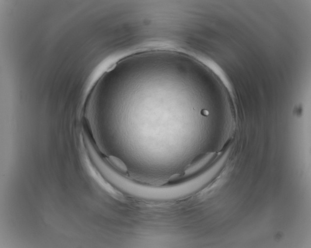 X0000092021389200709201543