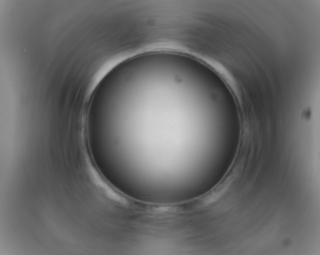 X0000092021390200709201543