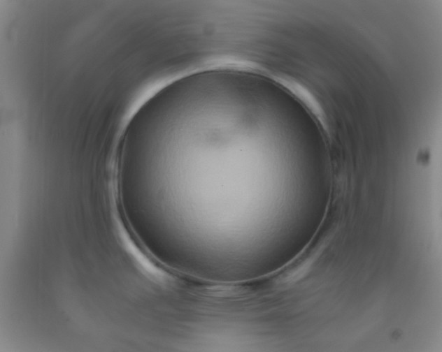 X0000092021391200709201543