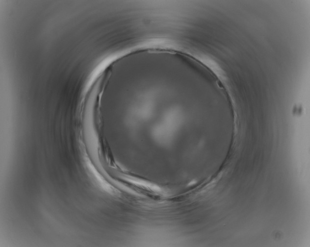 X0000092021392200709201543