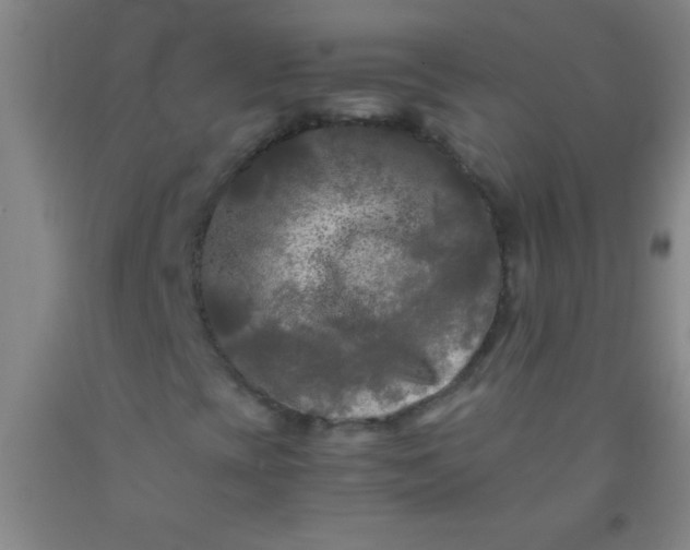 X0000092021393200709201542