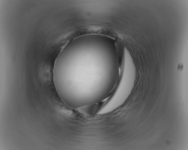 X0000092021394200709201542