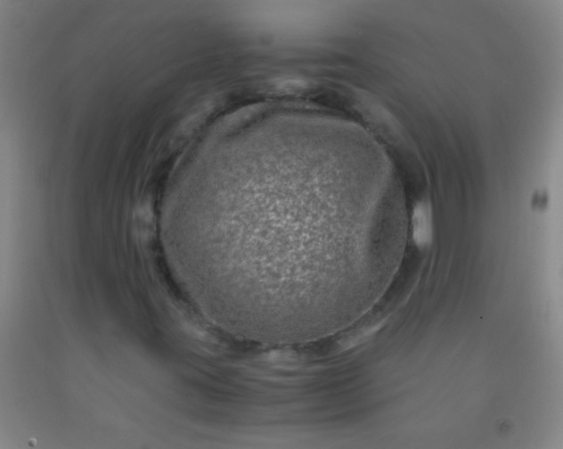 X0000092021395200709201542