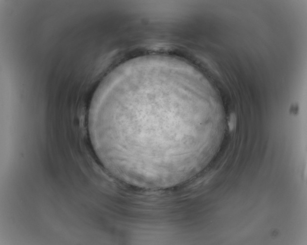 X0000092021396200709201542