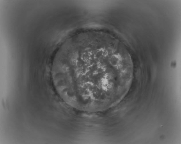 X0000092021397200709201542