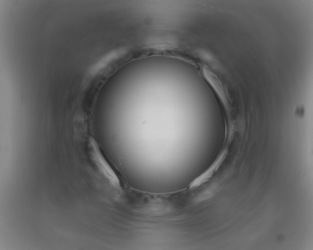 X0000092021398200709201542