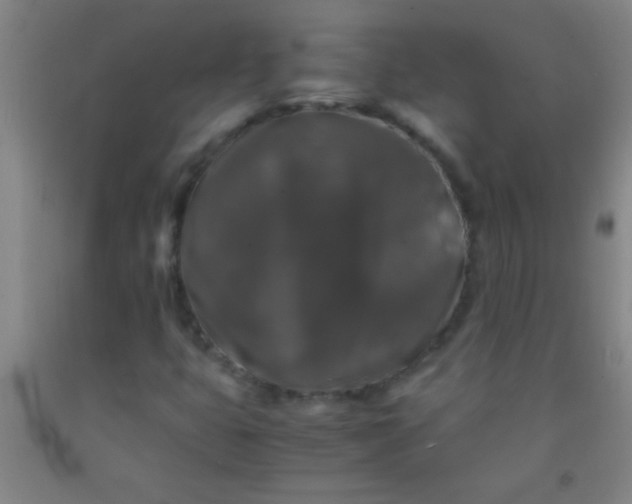 X0000092021399200709201542