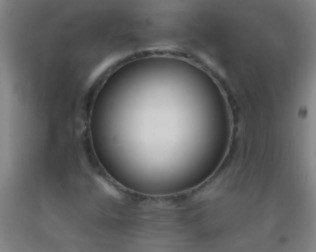 X0000092021400200709201542