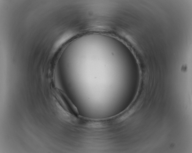 X0000092021402200709201542