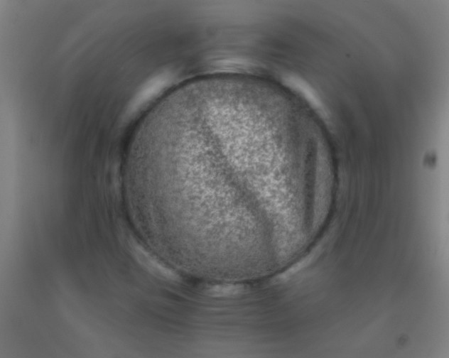 X0000092021403200709201542