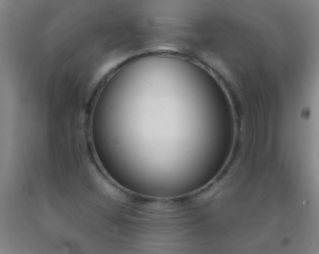 X0000092021404200709201542