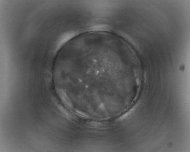 X0000092021405200709201542