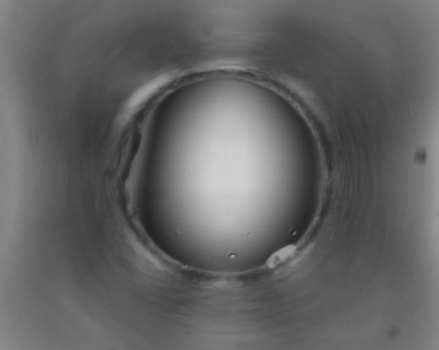 X0000092021406200709201542