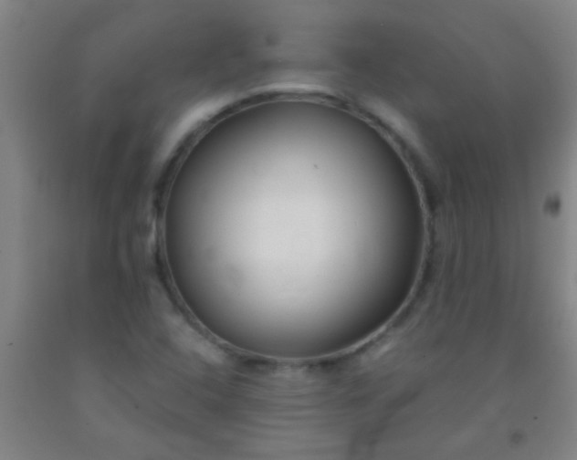 X0000092021408200709201542