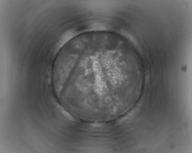 X0000092021409200709201542