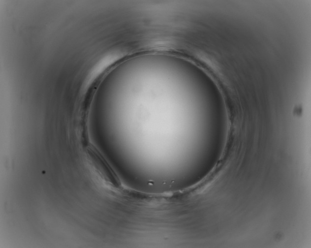 X0000092021410200709201542