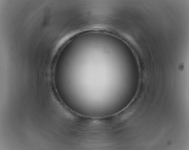 X0000092021412200709201542