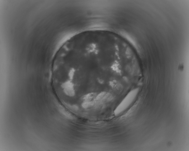 X0000092021413200709201542