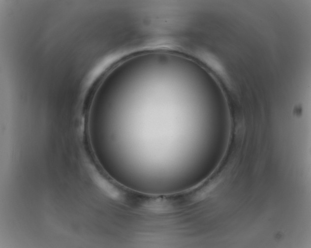 X0000092021414200709201542