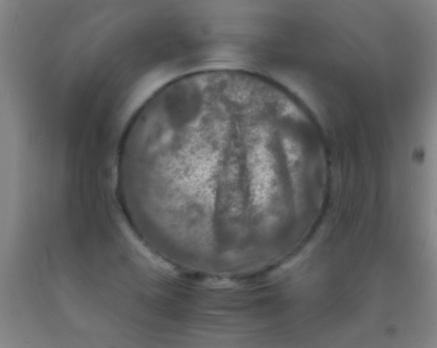 X0000092021415200709201542