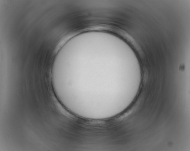 X0000092021417200709201542