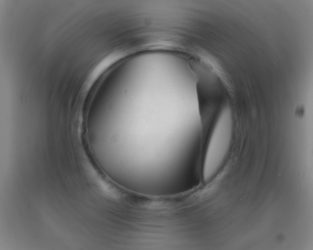 X0000092021418200709201542