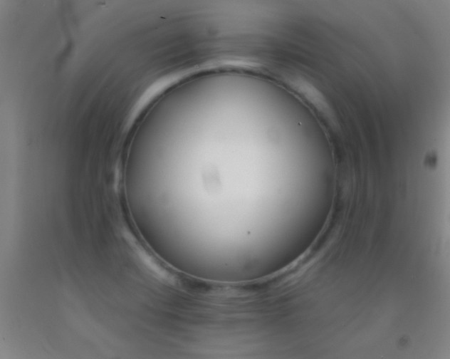 X0000092021420200709201542