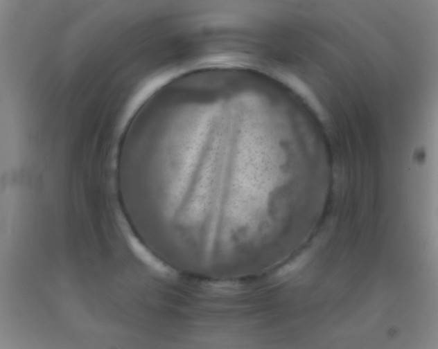 X0000092021421200709201542