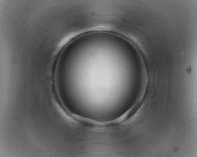 X0000092021422200709201542