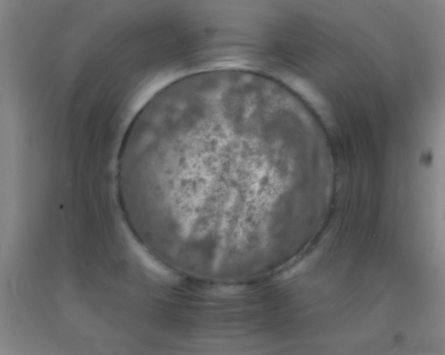 X0000092021423200709201543