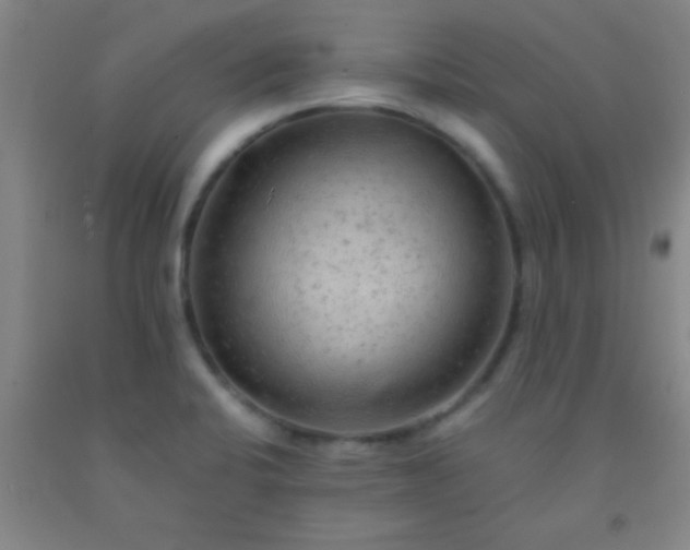 X0000092021424200709201543