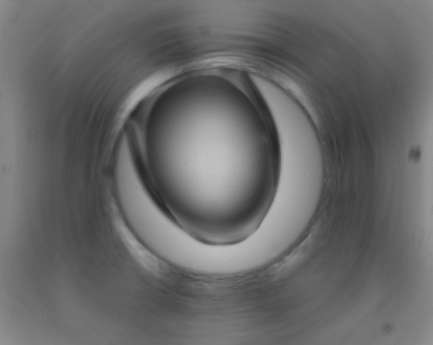 X0000092021426200709201543