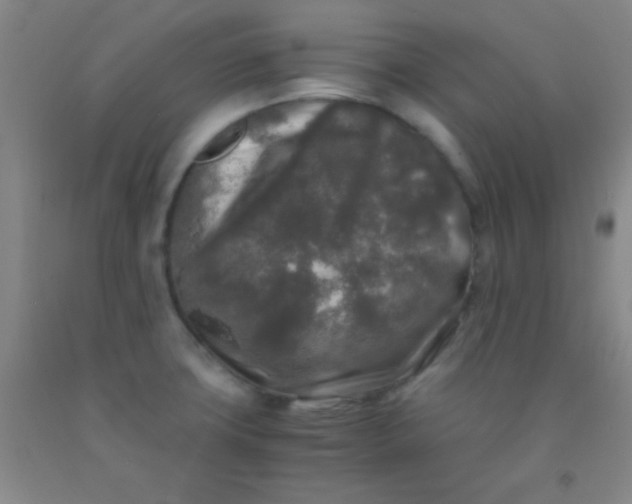 X0000092021427200709201543