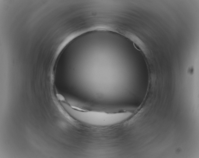 X0000092021428200709201543