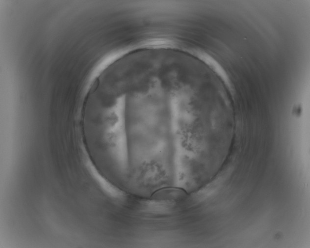 X0000092021429200709201543