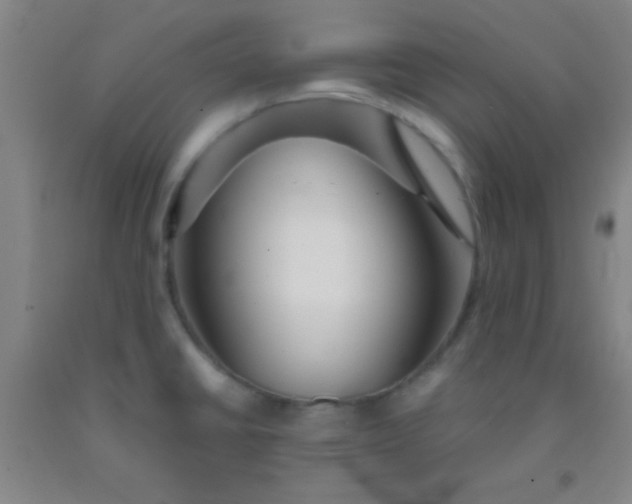 X0000092021430200709201543