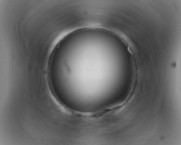 X0000092021432200709201543