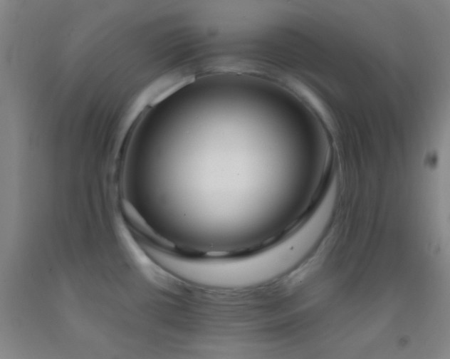 X0000092021434200709201543