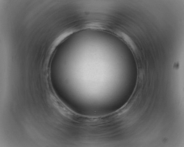 X0000092021435200709201543