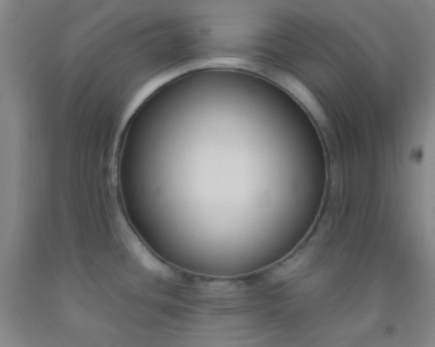 X0000092021436200709201543