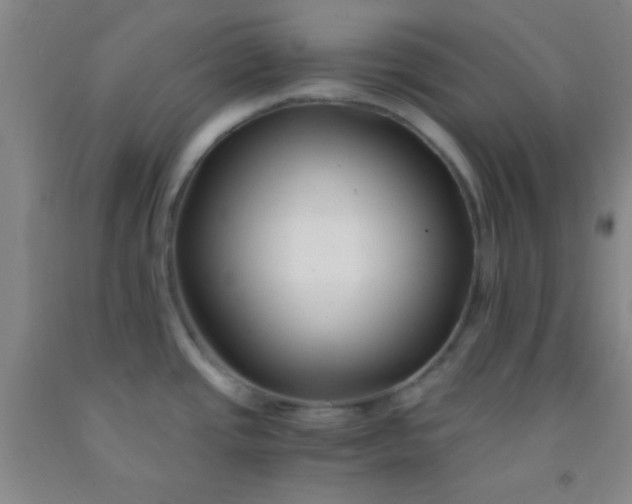 X0000092021437200709201543