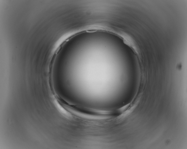 X0000092021438200709201543